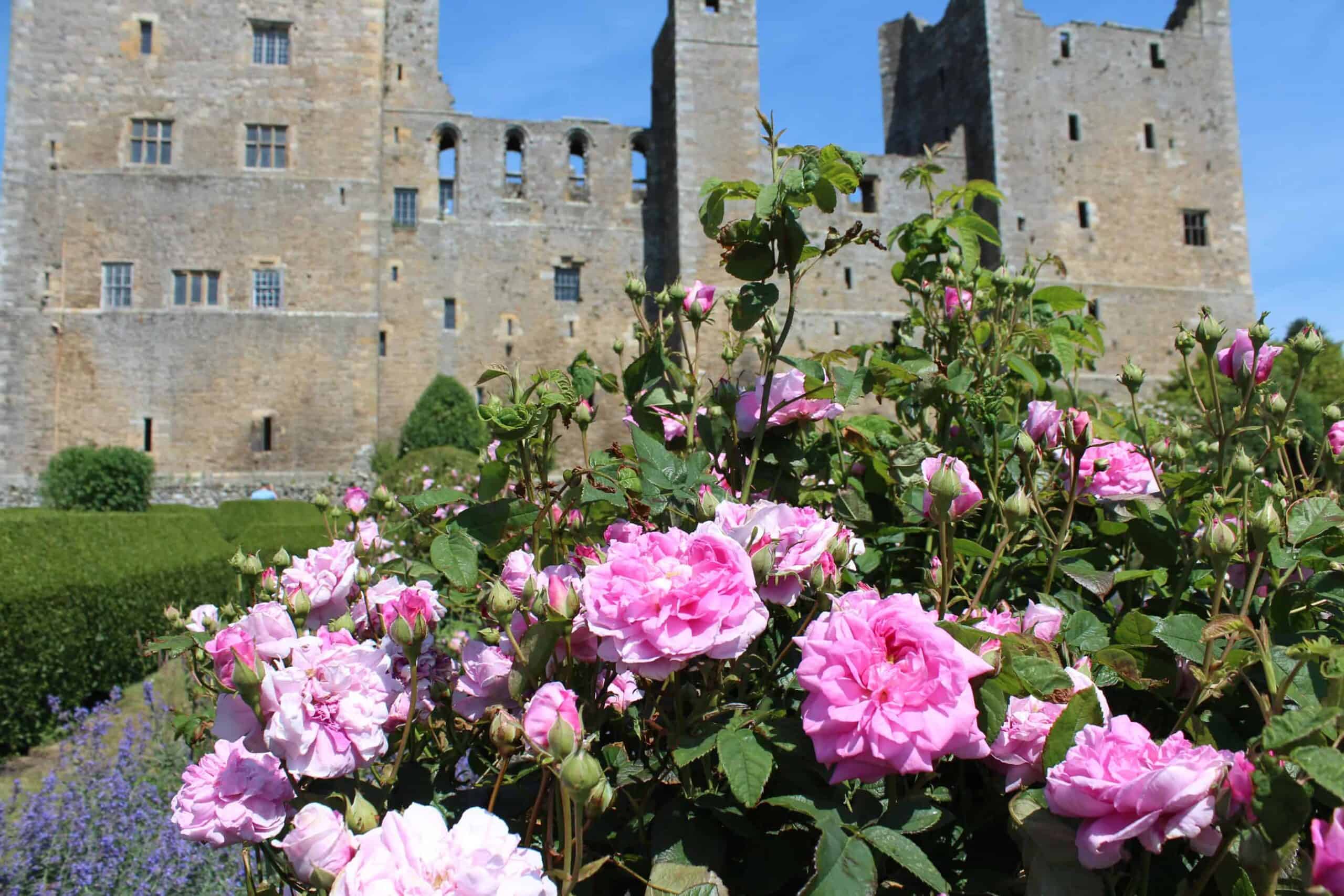 Bolton Castle in Wensleydale, family days out, falconry and weddings